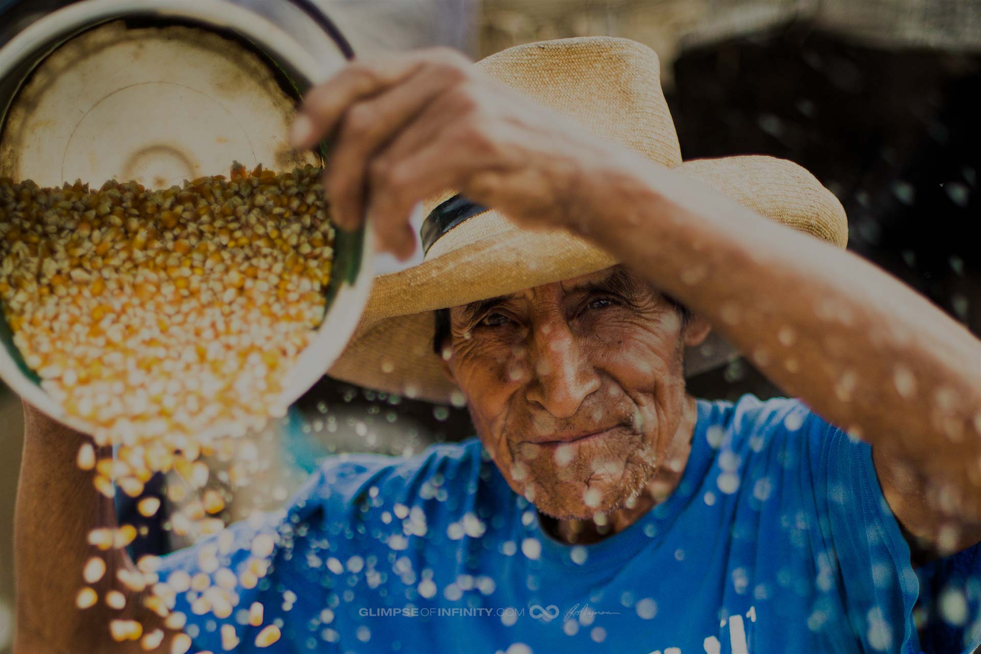 A farmer pours out corn from a container.